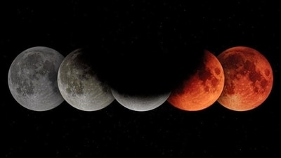 Let us discover which area of your life will be most strongly impacted by this captivating cosmic occurrence. (hindustantimes.com) Let us discover which area of your life will be most strongly impacted by this captivating cosmic occurrence. (hindustantimes.com)