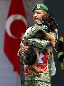 A soldier holds a German Shepherd puppy 'Arkadas' ('Friend' in Turkish). (REUTERS)