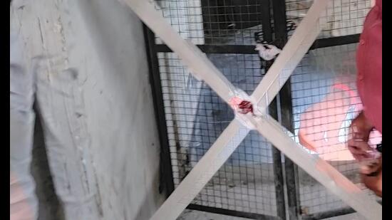 Noida authority officials seal the flat of a realtor. (HT Photo)