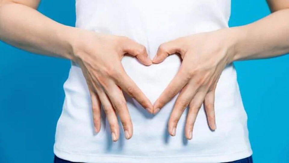 Factors such as nutrition and the body's production of defensins influence the composition of the intestinal microbiota. (Shutterstock)