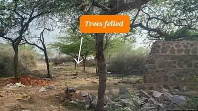 Illegal constructions come up in Aravalli, environmentalists seek task force, checkpoints