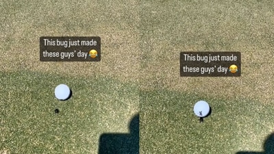 Bug pushes golf ball. (YouTube/@Golf Channel) Bug pushes golf ball. (YouTube/@Golf Channel)