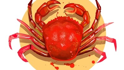 Cancer Daily Horoscope Today for April 6, 2023: Do something new and daring!