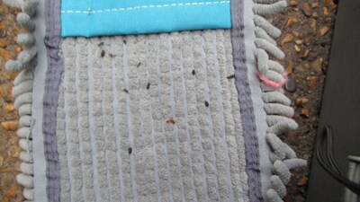 Mouse droppings found in McDonald's burger. (Twitter/@wfcouncil) Mouse droppings found in McDonald's burger. (Twitter/@wfcouncil)