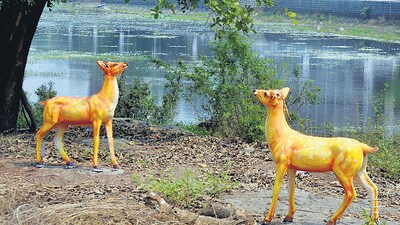 Navi Mumbai, India - May 04, 2023: Residents and Greens are up in arms against ‘Artificial Beautification’ of Panvel Heritage Lake, in Navi Mumbai, India, on Thursday, May 04, 2023. (Photo by Bachchan Kumar/ HT PHOTO) (HT PHOTO) Navi Mumbai, India - May 04, 2023: Residents and Greens are up in arms against ‘Artificial Beautification’ of Panvel Heritage Lake, in Navi Mumbai, India, on Thursday, May 04, 2023. (Photo by Bachchan Kumar/ HT PHOTO) (HT PHOTO)