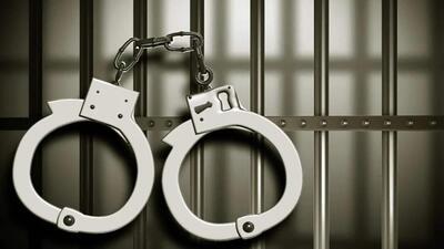 The accused was arrested under Alipur police station limits in Delhi (Representative Photo) The accused was arrested under Alipur police station limits in Delhi (Representative Photo)