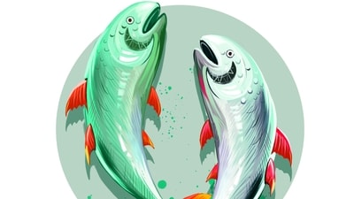Pisces Horoscope Today May 6. 2023: Pisceans will be urged to expand their horizons today and take on an entirely different approach towards life.