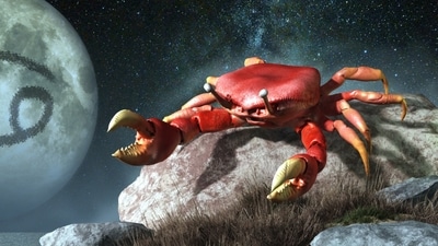Cancer Weekly Horoscope May 7-13, 2023 Cancers, this is a time for bold moves!