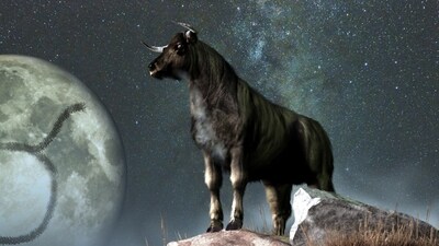 Taurus Weekly Horoscope Today for May 7- 13, 2023: Now is the time for Taureans to take the first step towards reaching their dreams. (shutterstock)