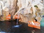 Protestors standing in the fountain of the four rivers in Piazza Navona in Rome(ultima-generazione)