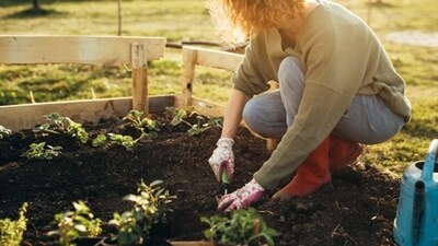 Having a hobby and earning to embrace it is a good way to let out overwhelming emotions and learn to slow things down. (Unsplash) Having a hobby and earning to embrace it is a good way to let out overwhelming emotions and learn to slow things down. (Unsplash)