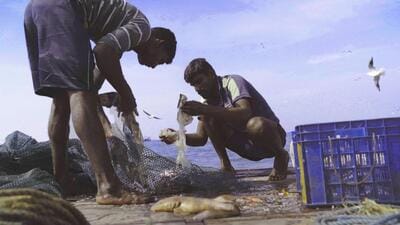 A still from the film Against The Tide, which was screened at the 2023 edition of Hot Docs in Toronto, Canada. (Credit: Hot Docs) A still from the film Against The Tide, which was screened at the 2023 edition of Hot Docs in Toronto, Canada. (Credit: Hot Docs)