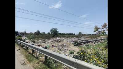 The NGT bench said that the joint committee is directed to verify facts and furnish a factual and action-taken report on the matter within a period of two months to the NGT. (HT Photo)