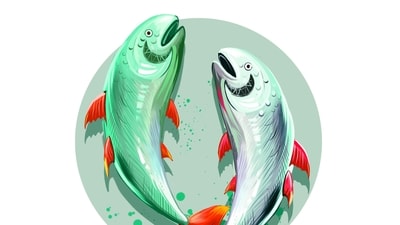 Pisces Daily Horoscope Today for May 8, 2023: The day holds immense financial gains and resources. Pisces Daily Horoscope Today for May 8, 2023: The day holds immense financial gains and resources.
