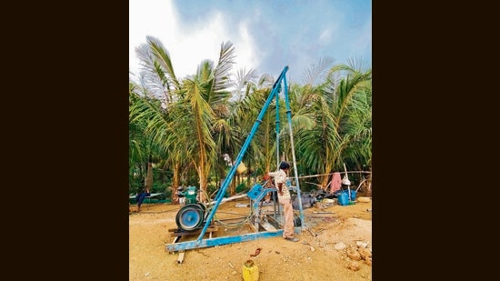 Greens warn 300 trees will be cut for sports complex in Bay View Marina Garden
