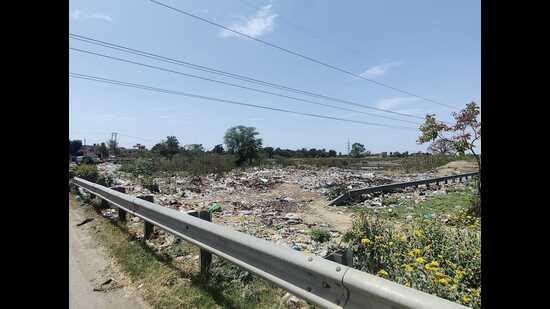 The NGT bench said that the joint committee is directed to verify facts and furnish a factual and action-taken report on the matter within a period of two months to the NGT. (HT Photo)