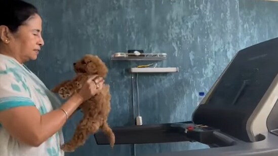 West Bengal CM Mamata Banerjee walking on treadmill, (Instagram/mamataofficial)
