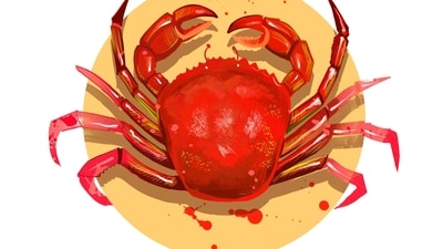 Cancer Daily Horoscope Today for April 9, 2023: Today is an important day for Cancer individuals.