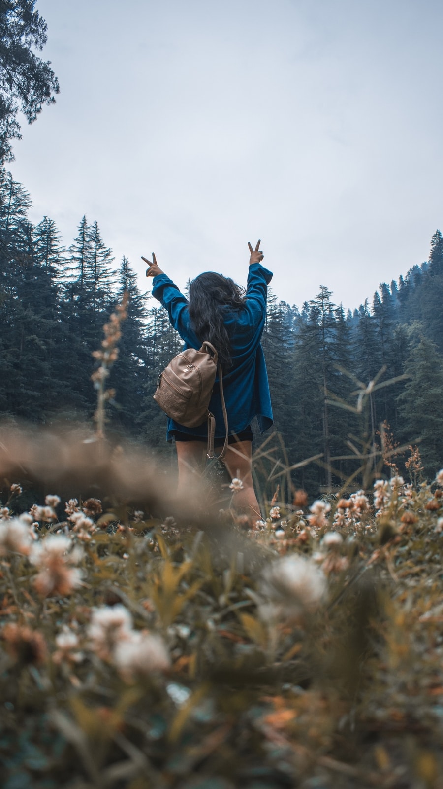 aman-upadhyay-i8b6phQUujs-unsplash