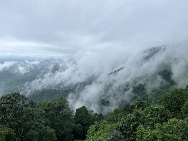 Agumbe National Park (Shutterstock) Agumbe National Park (Shutterstock)