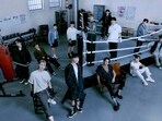 K-Pop superstars SEVENTEEN have completed their successful activities for their tenth mini-album, 'FML,' leaving behind a trail of records and messages of comfort and hope. K-Pop superstars SEVENTEEN have completed their successful activities for their tenth mini-album, 'FML,' leaving behind a trail of records and messages of comfort and hope.