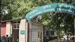 NGT also directed DFO Nainital to look into the feasibility of geo-tagging of old trees in Nainital. (File image)