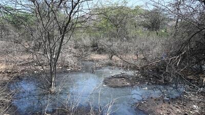 A water pit in forest area where leachate mixed into water bodies near Bandhwari landfill at Gurugram-Faridabad road. (Parveen Kumar/HT) A water pit in forest area where leachate mixed into water bodies near Bandhwari landfill at Gurugram-Faridabad road. (Parveen Kumar/HT)