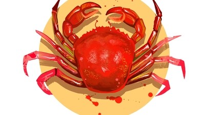 Cancer Daily Horoscope Today for April 10, 2023: Your special someone will bring a wave of enthusiasm and joy to your life today!
