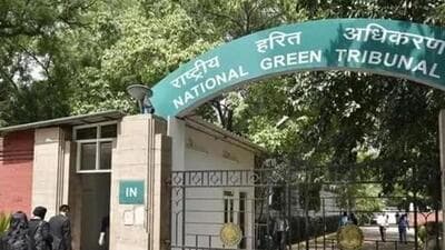 NGT also directed DFO Nainital to look into the feasibility of geo-tagging of old trees in Nainital. (File image) NGT also directed DFO Nainital to look into the feasibility of geo-tagging of old trees in Nainital. (File image)