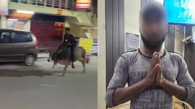 The image, taken from the viral video, shows a man riding a bull at night in Rishikesh. (Instagram/@uttarakhandcops) The image, taken from the viral video, shows a man riding a bull at night in Rishikesh. (Instagram/@uttarakhandcops)