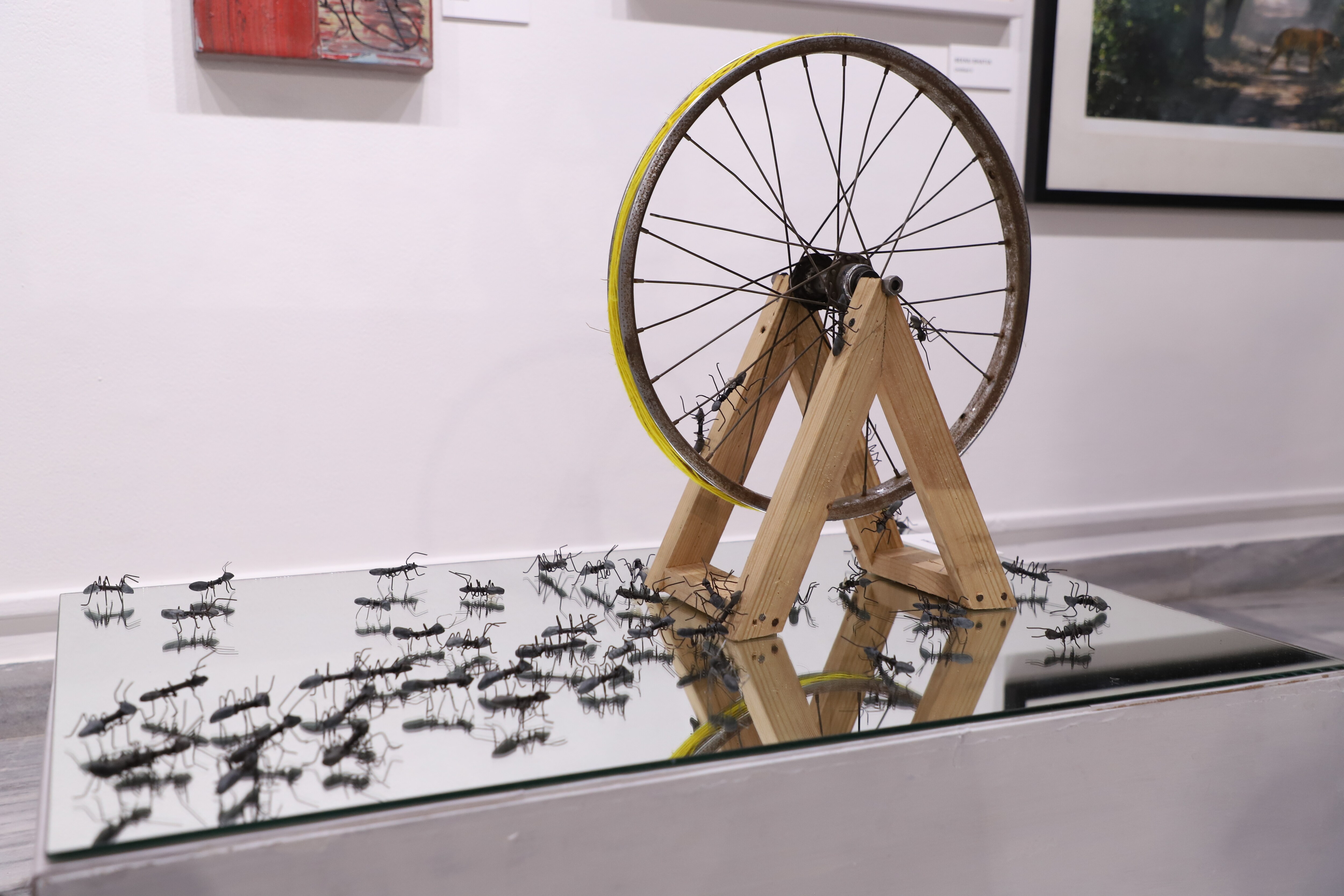 Nooreen Fatma creates a reflection of the endless labour of humans and ants using a mirror. Nooreen Fatma creates a reflection of the endless labour of humans and ants using a mirror.
