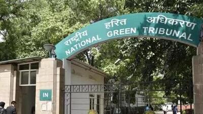 National Green Tribunal has sought reply from Ludhiana MC over a hotel being run in residential area. (HT File)