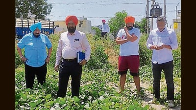 Punjab agriculture department director Gurvinder Singh during a field inspection in Ludhiana on Wednesday. (HT Photo)