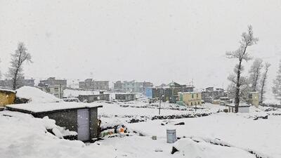 The minimum temperature in Dharamshala on May 1 and 8 was recorded 8.4°C. (ANI photo) The minimum temperature in Dharamshala on May 1 and 8 was recorded 8.4°C. (ANI photo)