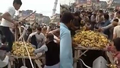 The image shows mob stealing bananas from a kid handling a cart. (Twitter/@crazyclipsonly) The image shows mob stealing bananas from a kid handling a cart. (Twitter/@crazyclipsonly)
