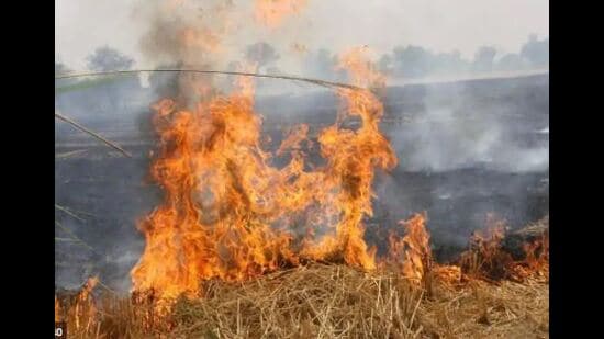 As per the authorities, Punjab so far, has reported 4,206 farm fires this season (HT File Photo)