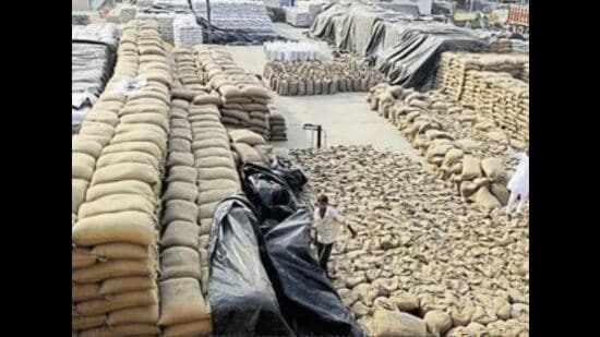 The arrivals this year are 21.28 lakh tonnes more than the last year’s, an increase of 21%. (HT File Photo)