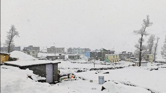 The minimum temperature in Dharamshala on May 1 and 8 was recorded 8.4°C. (ANI photo)