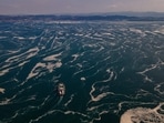 There is a lot of head scratching going on among scientists as to what is causing the spike in sea-surface temperatures this year. (AFP)