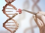 How DNA repair can go wrong and lead to disease: Research