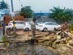 A quick response disaster management team clears a tree that fell in a storm due to cyclone Mocha at Veer Savarkar International Airport in Port Blair. A quick response disaster management team clears a tree that fell in a storm due to cyclone Mocha at Veer Savarkar International Airport in Port Blair.