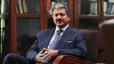 Anand Mahindra announced the winner of the lioness caption challenge. (Twitter/@anandmahindra) Anand Mahindra announced the winner of the lioness caption challenge. (Twitter/@anandmahindra)