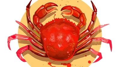 Cancer Daily Horoscope Today for April 12, 2023: Opportunities await at your doorstep today!