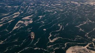 There is a lot of head scratching going on among scientists as to what is causing the spike in sea-surface temperatures this year. (AFP) There is a lot of head scratching going on among scientists as to what is causing the spike in sea-surface temperatures this year. (AFP)