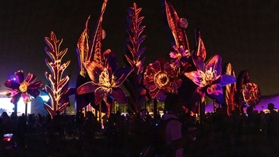 Coachella, Indio, USA: One of the most popular and influential music festivals in the world, Coachella gives music fans and festival-goers from around the world an unforgettable experience. &nbsp;Its diverse lineup, inclusive atmosphere, and commitment to social responsibility and environmental sustainability are what make the festival stand out.&nbsp; (REUTERS)