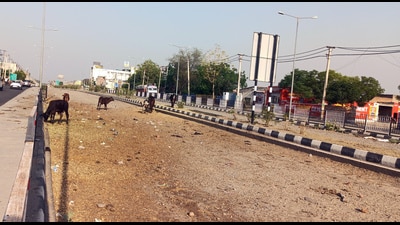 The work of a portion of road going from Bathinda to Zirakpur is under construction for the last two years .​ (HT Photo/Sanjeev Kumar)
