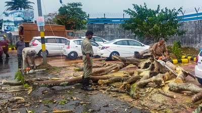 A quick response disaster management team clears a tree that fell in a storm due to cyclone Mocha at Veer Savarkar International Airport in Port Blair. (PTI) A quick response disaster management team clears a tree that fell in a storm due to cyclone Mocha at Veer Savarkar International Airport in Port Blair. (PTI)