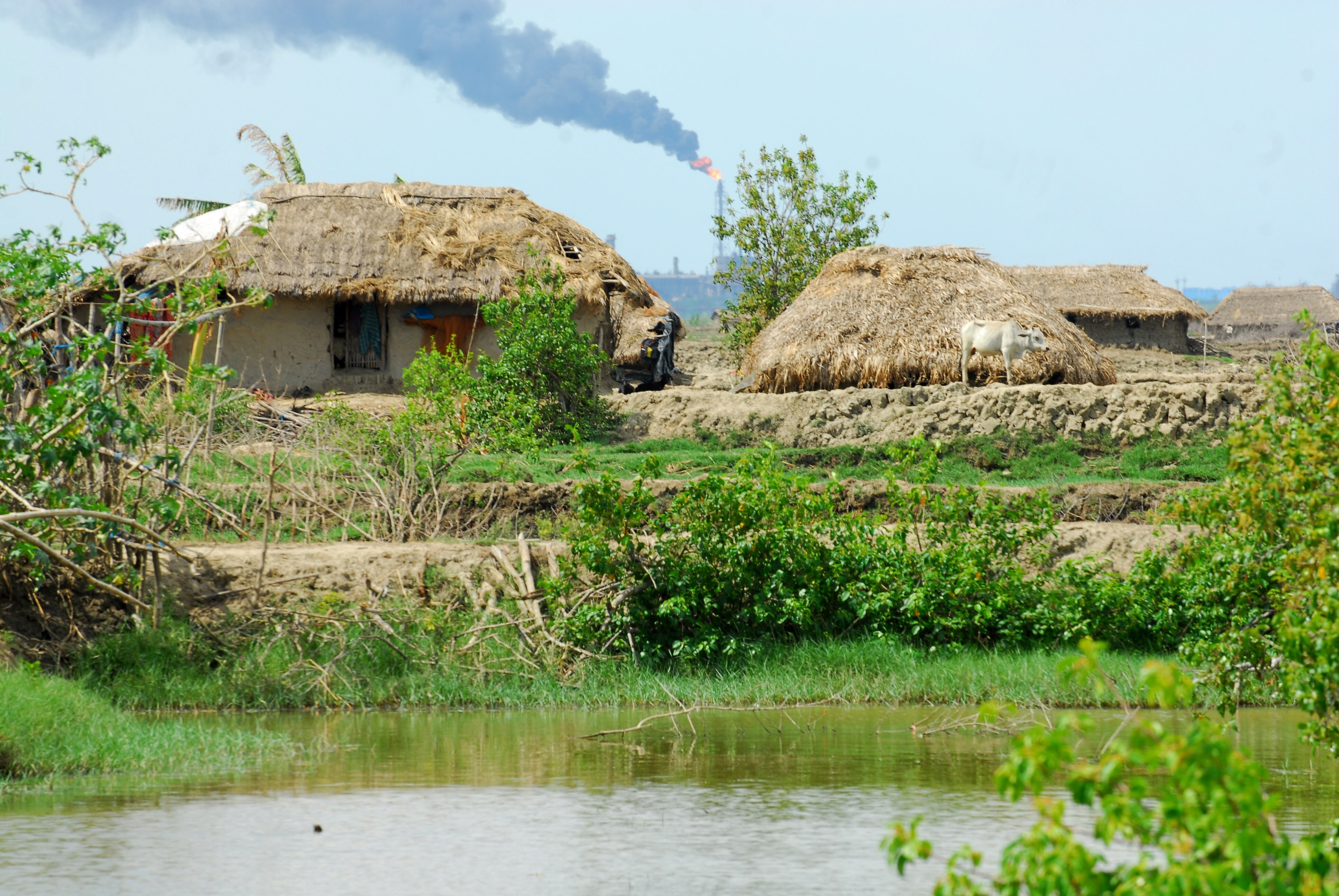 A village on Nayachar island in West Bengal's East Midnapore district. (Mint archive) A village on Nayachar island in West Bengal's East Midnapore district. (Mint archive)