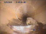 Alligator in underground pipe. Alligator in underground pipe.
