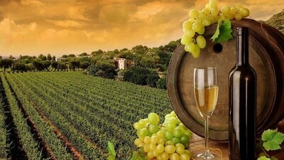A visit to a winery: Plan a trip to a local winery where you can enjoy wine tasting and a tour of the vineyards. (Instagram/@dori_winery) A visit to a winery: Plan a trip to a local winery where you can enjoy wine tasting and a tour of the vineyards. (Instagram/@dori_winery)